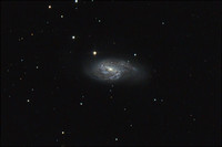M66 - Galaxy in Leo