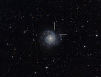 Supernova 2013ej