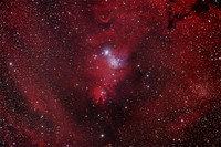 NGC2264 - Christmas Tree Cluster