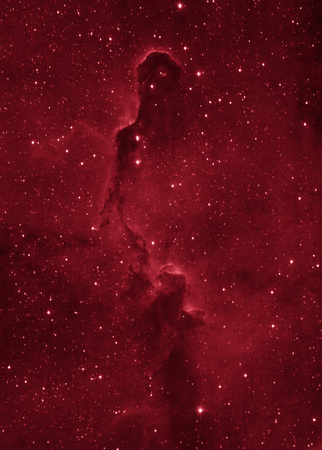 IC1396 - The Elephant Trunk Nebula