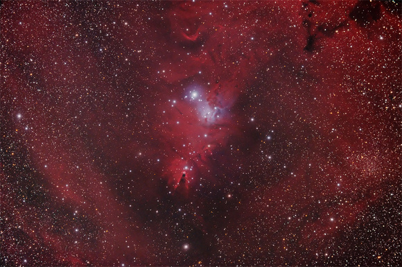 NGC2264 - Christmas Tree Cluster